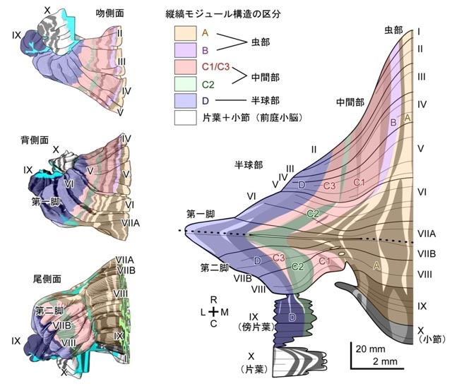 phy1 J_research